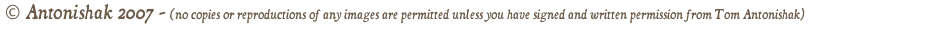 blocks_image