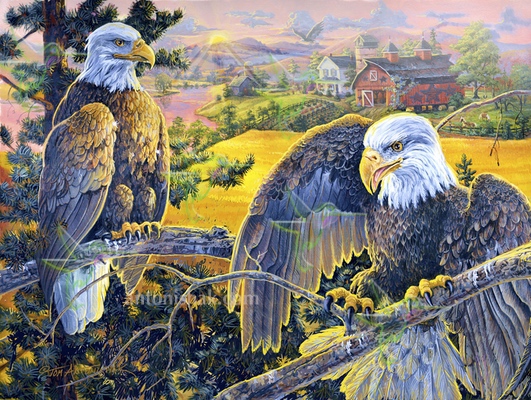  405 Eagles Golden Waves 