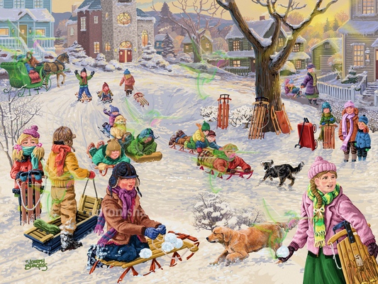  633 Village Snow Park 