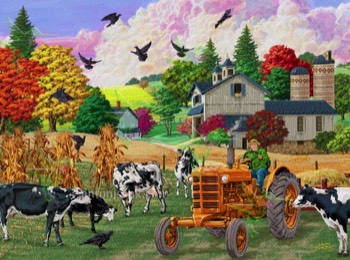  618 Cows and Crows Come Fall 