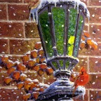WinterLamp