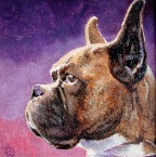 Apollo