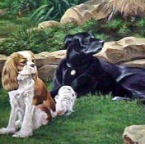 CochranDogs