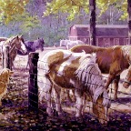 McTiguesHorses