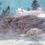 ArcticHunt-A-wolves