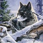 The Huntwolf&hare