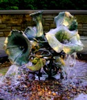 MorningGlory1